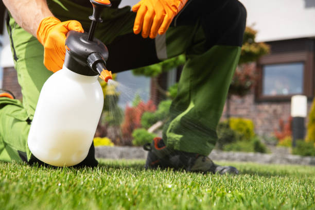 Best Pest Inspection Near Me  in Junction City, KS