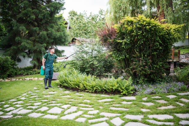 Best Residential Pest Control  in Junction City, KS