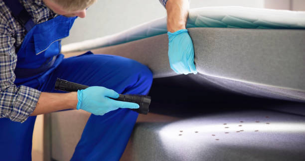 Best Exterminator Services  in Junction City, KS