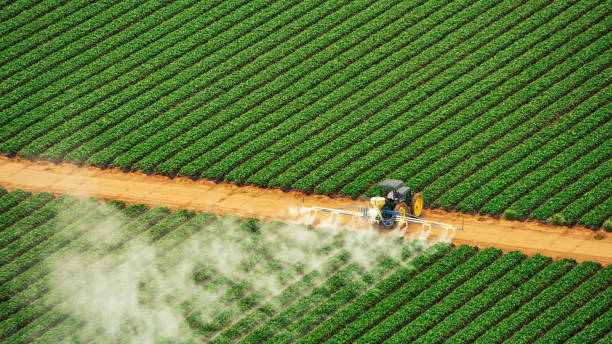 Best Insect Control  in Junction City, KS