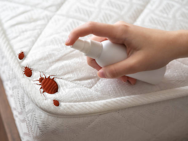 Professional Pest Control in Junction City, KS
