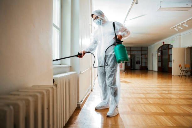 Best Ant Control Services  in Junction City, KS