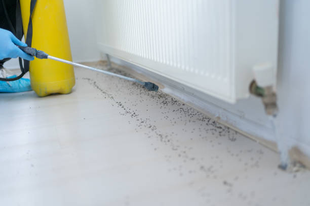 Best Emergency Pest Control  in Junction City, KS