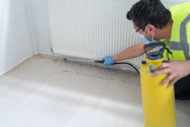 Flea Control Services in Junction City, KS
